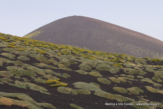 rra delle Concazze-05-08-2014 15-13-30